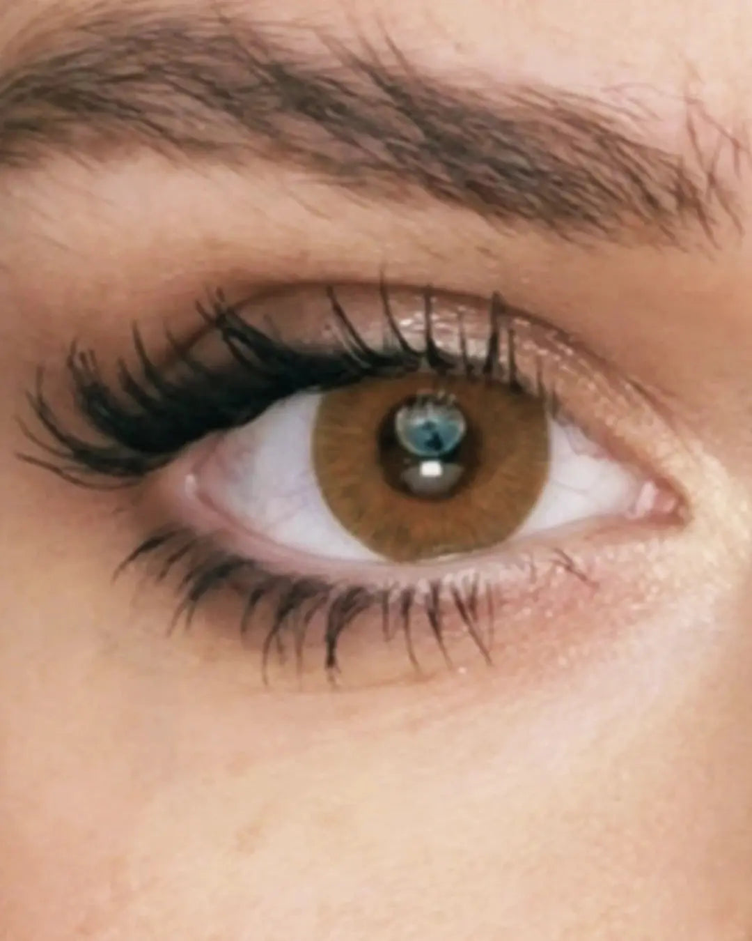 Terracotta Ray Lenses